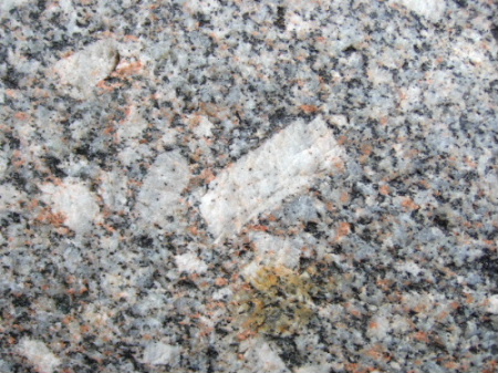 Granite La Rouvière.jpg