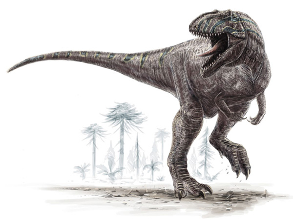 Un dinosaure théropode, Giganotosaurus(Crétacé d’Amérique du Sud).
