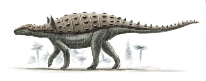 Dessin struthiosaurus.jpg