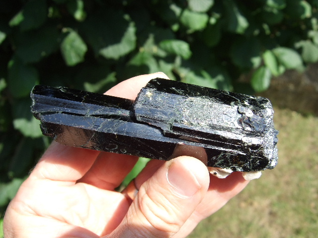 Fichier:Aegyrine 3.jpg