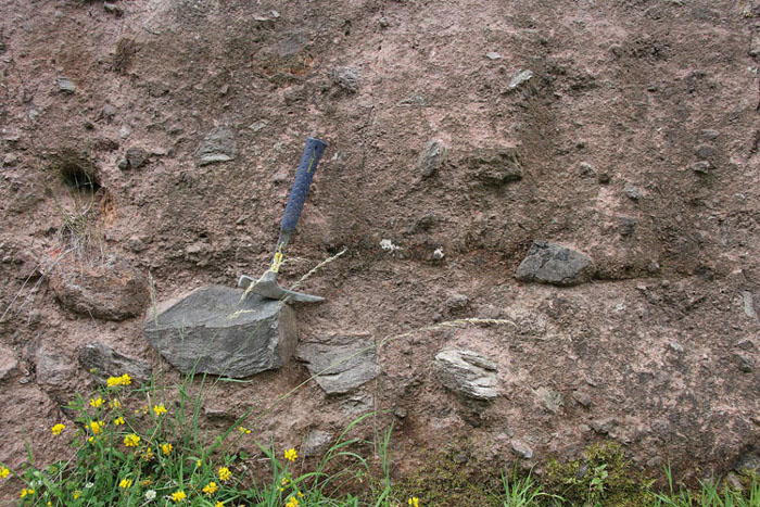 Fichier:Tufs brechiques - 1.jpg