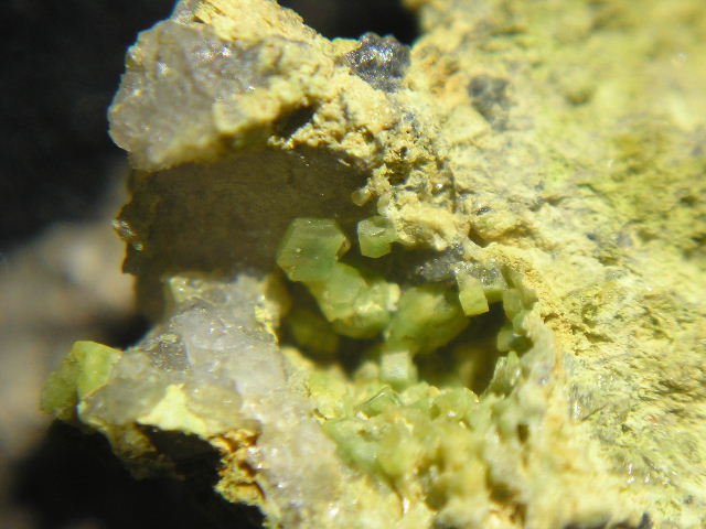 Fichier:Pyro Oncins.jpg