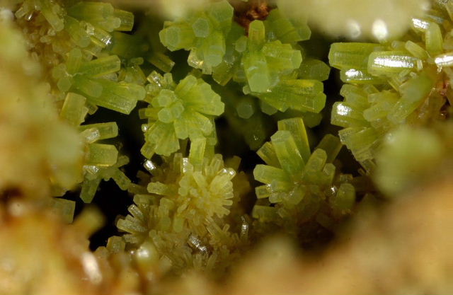 Fichier:Pyro propieres6.jpg