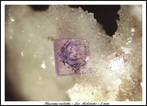 Fichier:Fluorite. Les Molerats.jpg