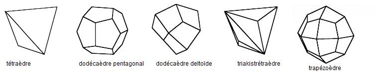 Fichier:Polyèdres 3.jpg