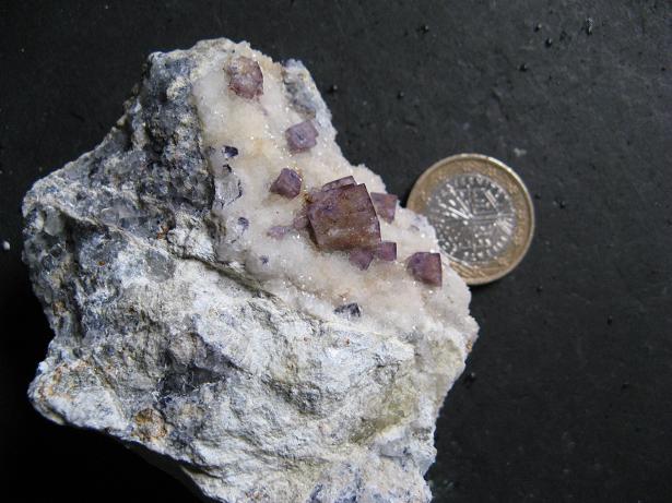 Fichier:Fluo gabrias 48.jpg