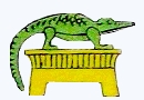 Fichier:Croco.jpg