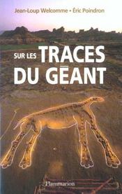 Traces geant.jpg
