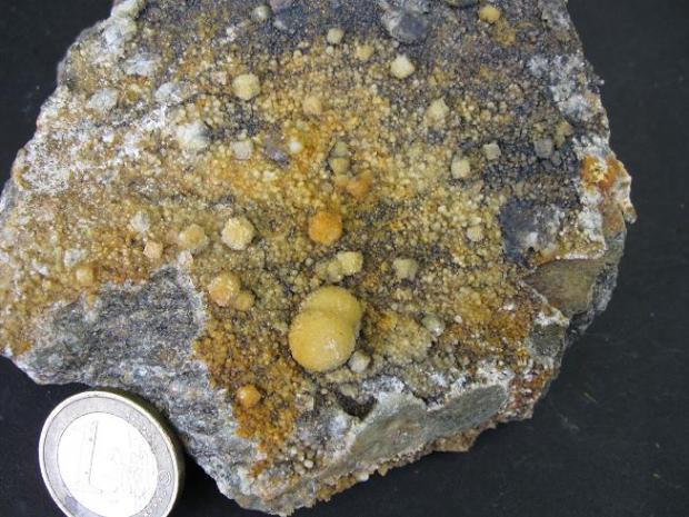 Fichier:Fluo de buxiere hors carriere.jpg