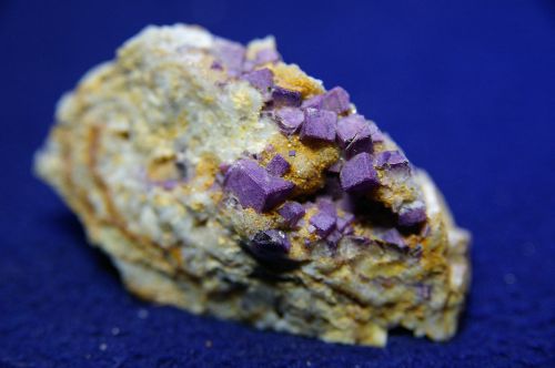 Fichier:Fluorite Gabrias.jpg