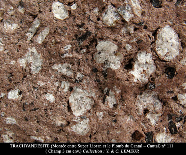 Fichier:Trachyandesite 25.jpg