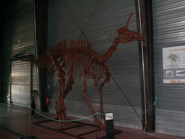 Tsintaosaurus.jpg