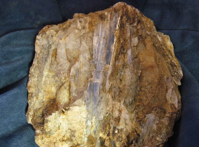 Fichier:Disthene cavalaire.jpg