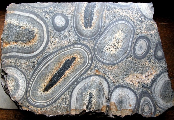 Fichier:Orbicules a divers types de noyaux Kangasniemi MNHN Paris.JPG