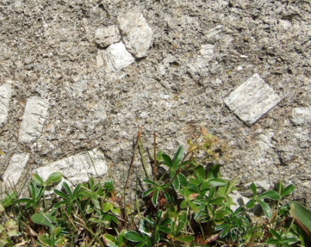 Granite altéré Aigoual 2.jpg