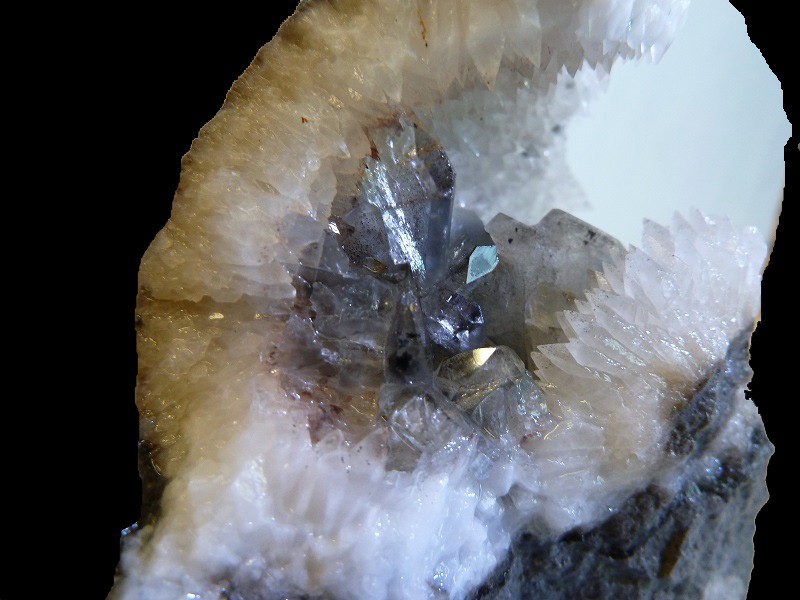 Fichier:Celestine boyeux.jpg