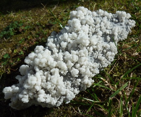 Fichier:Gypse Fontcouverte 2.jpg