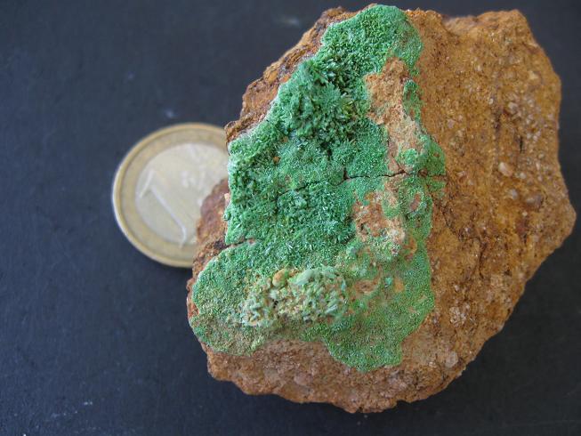 Fichier:Pyro tregoran 22.jpg