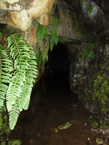 Fichier:Les Jasses 1.jpg