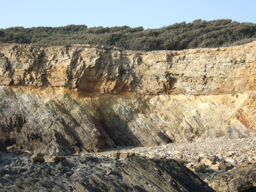 Discordance Pointe du Payré 85.jpg