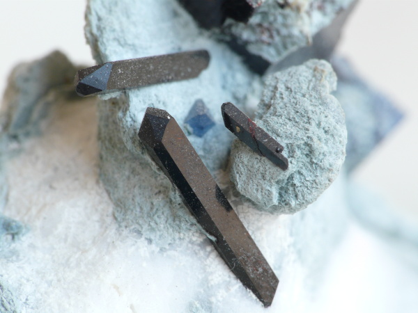 Fichier:Neptunite 1.jpg