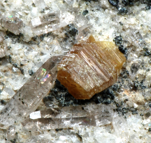 Fichier:Sinchisite 1.jpg