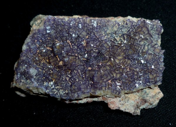 Fichier:Fluorine Le Pertre 5.jpg