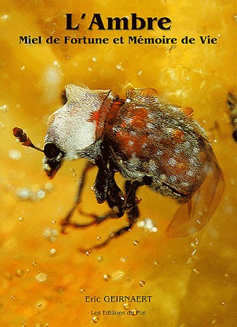 Fichier:Livre sur ambre.jpg