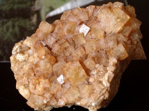 Fichier:Fluorite Chaise Dieu Clersanges.jpg