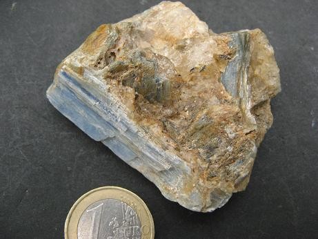 Fichier:Disthene priest fougeres.jpg