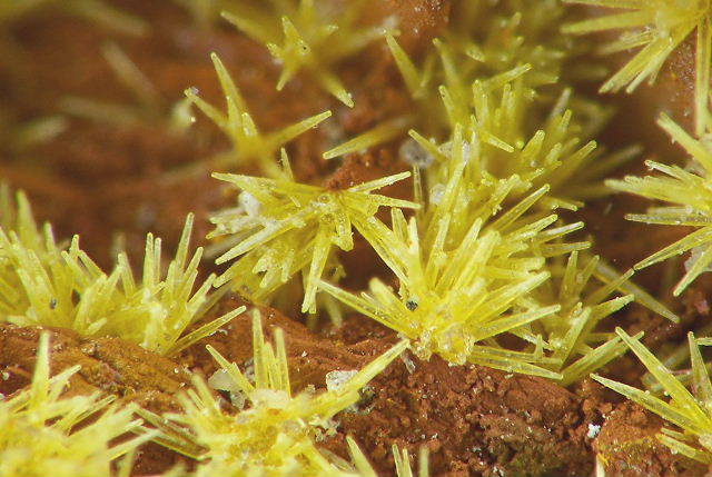 Fichier:Pyro chaillac1.jpg