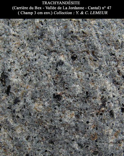 Fichier:Trachyandesite 13.jpg