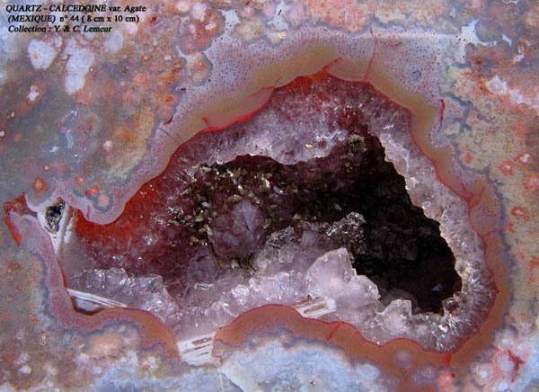 Fichier:Agate-3.jpg