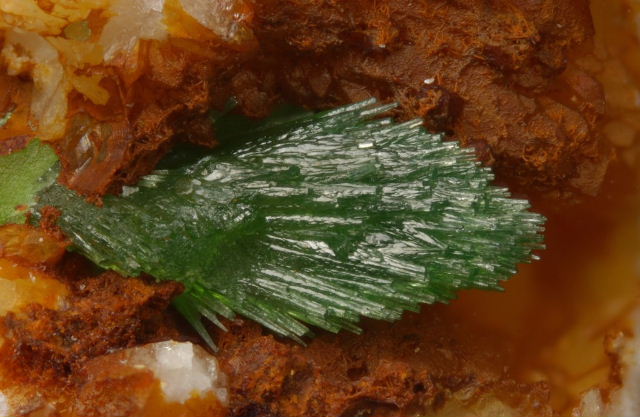 Fichier:Pyro chenelette.jpg