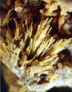 Richesses mineralogiques Auvergne.jpg