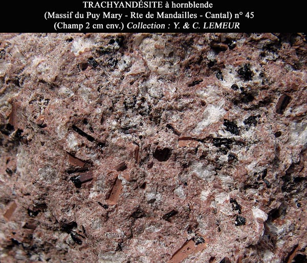 Fichier:Trachyandesite 11.jpg