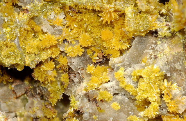 Fichier:Pyro propieres3.jpg