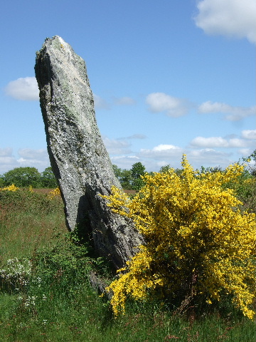 Menhir Vairé.jpg