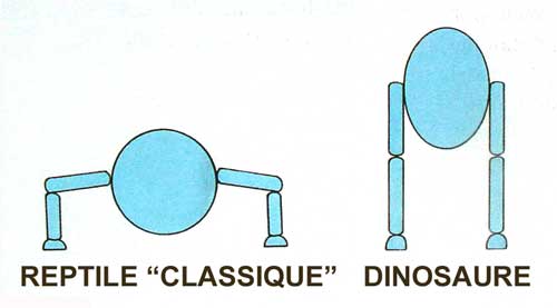 Fichier:Postures-dinosaures.jpg
