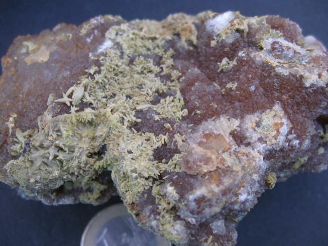 Fichier:IMG 2754.jpg