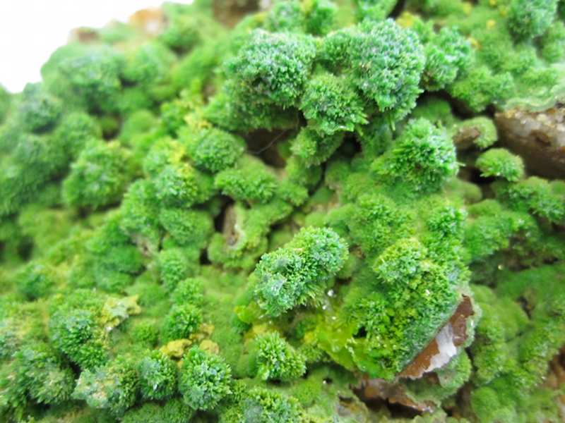 Fichier:Pyromorphite-mine-farges-correze-4.jpg