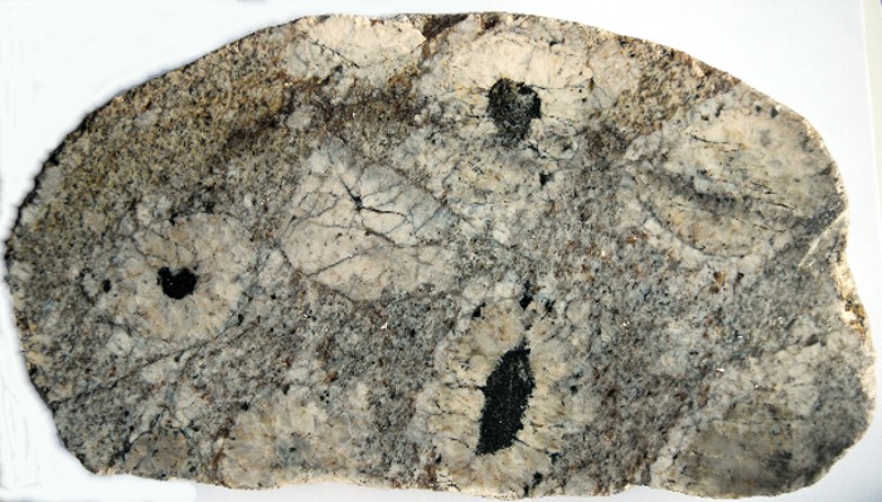 Fichier:Plaque polie de granite orbiculaire a 2 couches Signal de Randon (48).jpg