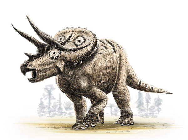 Triceratops-horridus.jpg
