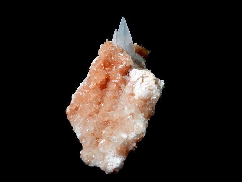 Fichier:Celestine sault-brenaz.jpg