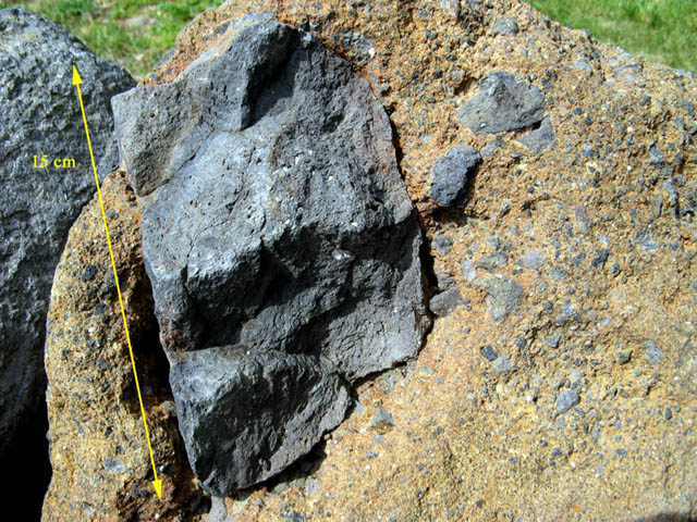 Fichier:Breche hyaloclastique 5.jpg