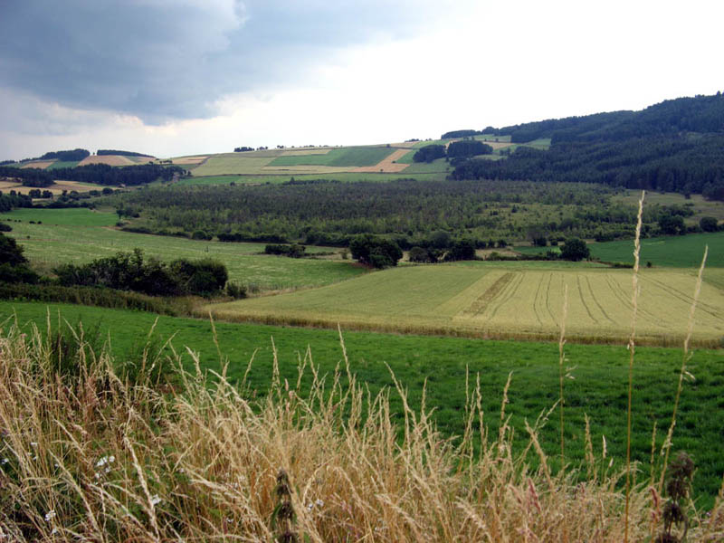 Fichier:Marais de Limagne.jpg