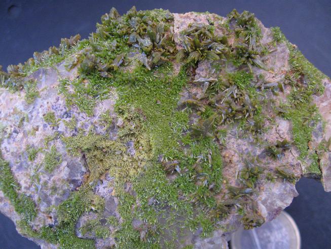 Fichier:IMG 2752.jpg