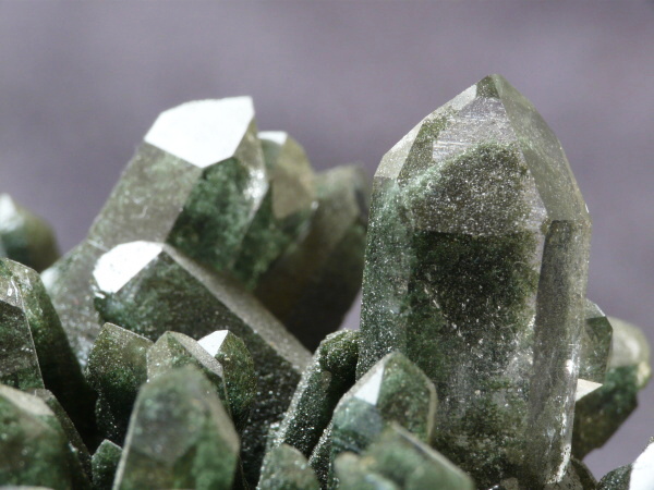 Quartz Chloriteux 1.jpg