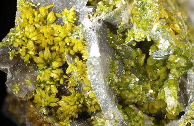 Fichier:Pyro propieres2.jpg