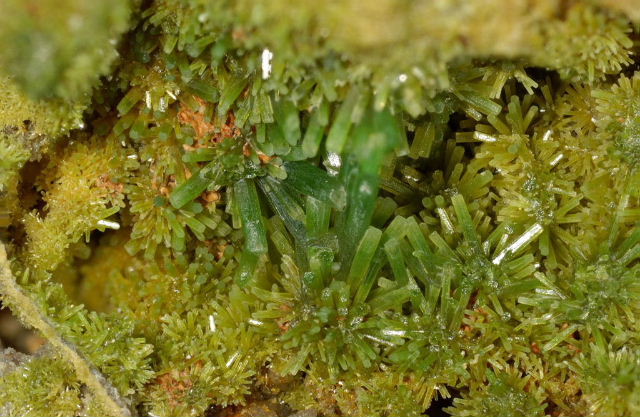 Fichier:Pyro propieres1.jpg